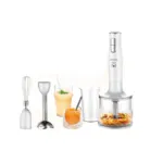 Mixeur plongeant inox 3 en 1 - 300W Robuste MP 3en1 – خلاط يدوي روبوست 300 واط إينوكس