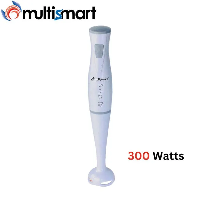 Bras Mixeur 300W Multismart MS-HB2111
