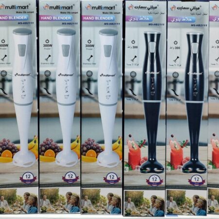 Bras Mixeur 300W Multismart MS-HB2111