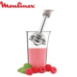 Bras Mixeur 450W Turbo Moulinex DD471A10 – خلاط كهربائي مولينكس 450 واط DD471A10