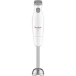 Bras Mixeur Easychef 450 W Moulinex Dd451110 Blanc-inox Original – خلاط كهربائي مولينكس 450 واط أبيض إينوكس