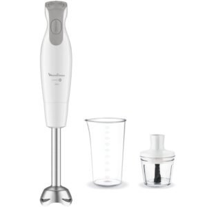 Mixeur Plongeant Easychef Moulinex Dd452110 Blanc