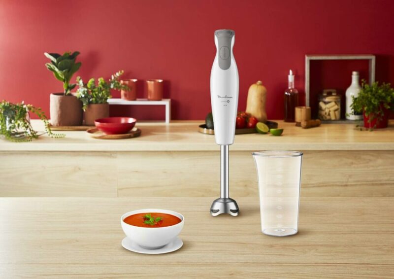 Mixeur Plongeant Easychef Moulinex Dd552110 Blanc
