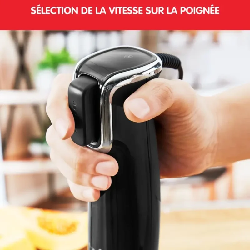 BRAS MIXEUR COFFRET 1000W AVEC 4 ACCESSOIRES ET LAMMES powelix MOULINEX Original DD94L810
