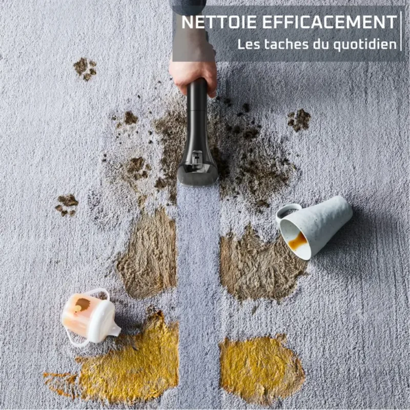Nettoyeur Détacheur Portable 400W À Réservoir Amovible 1.8L Clean It Rowenta IN5012F0