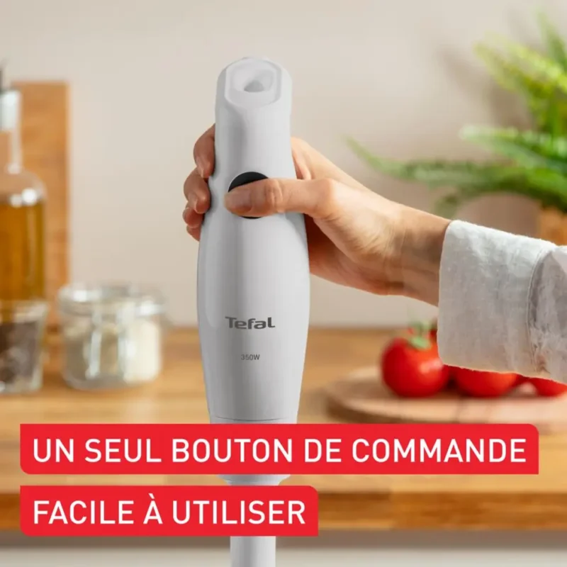 Mixeur Plongeant 350W À Lames Inox Zelkrom Tefal HB12AN10 Blanc