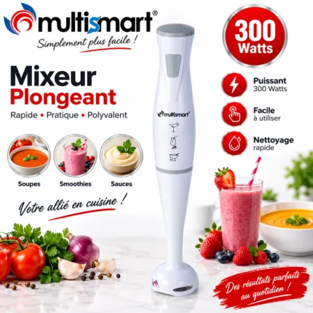 Bras Mixeur 300W Multismart MS-HB2111